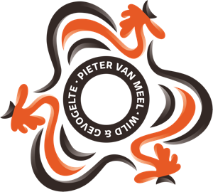 Pieter van Meel